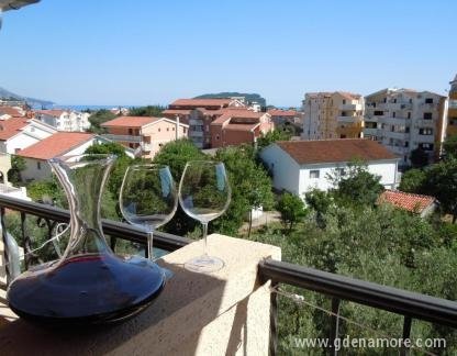 Vila Maslina , Studio Apartman sa Pogledom na More, privatni smeštaj u mestu Budva, Crna Gora - 40967681